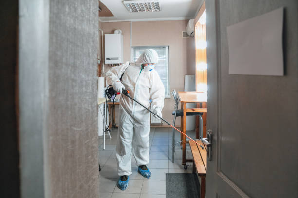 Best Emergency Mold Remediation  in Abaster, AL