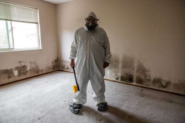 Best Airborne Mold Testing  in Abaster, AL